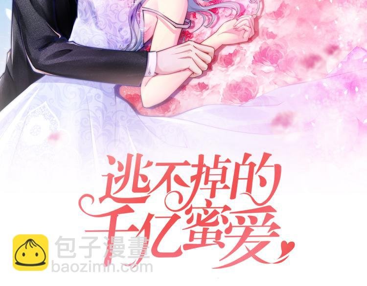 第11话 欺我女人者，废！