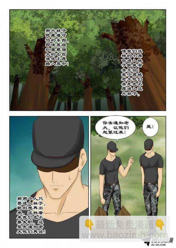 119 宠物林