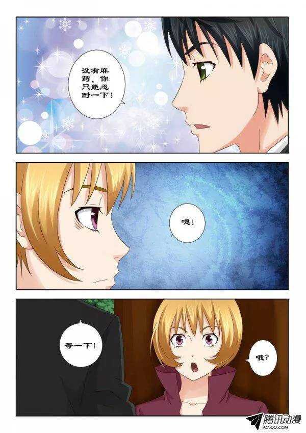 119 宠物林