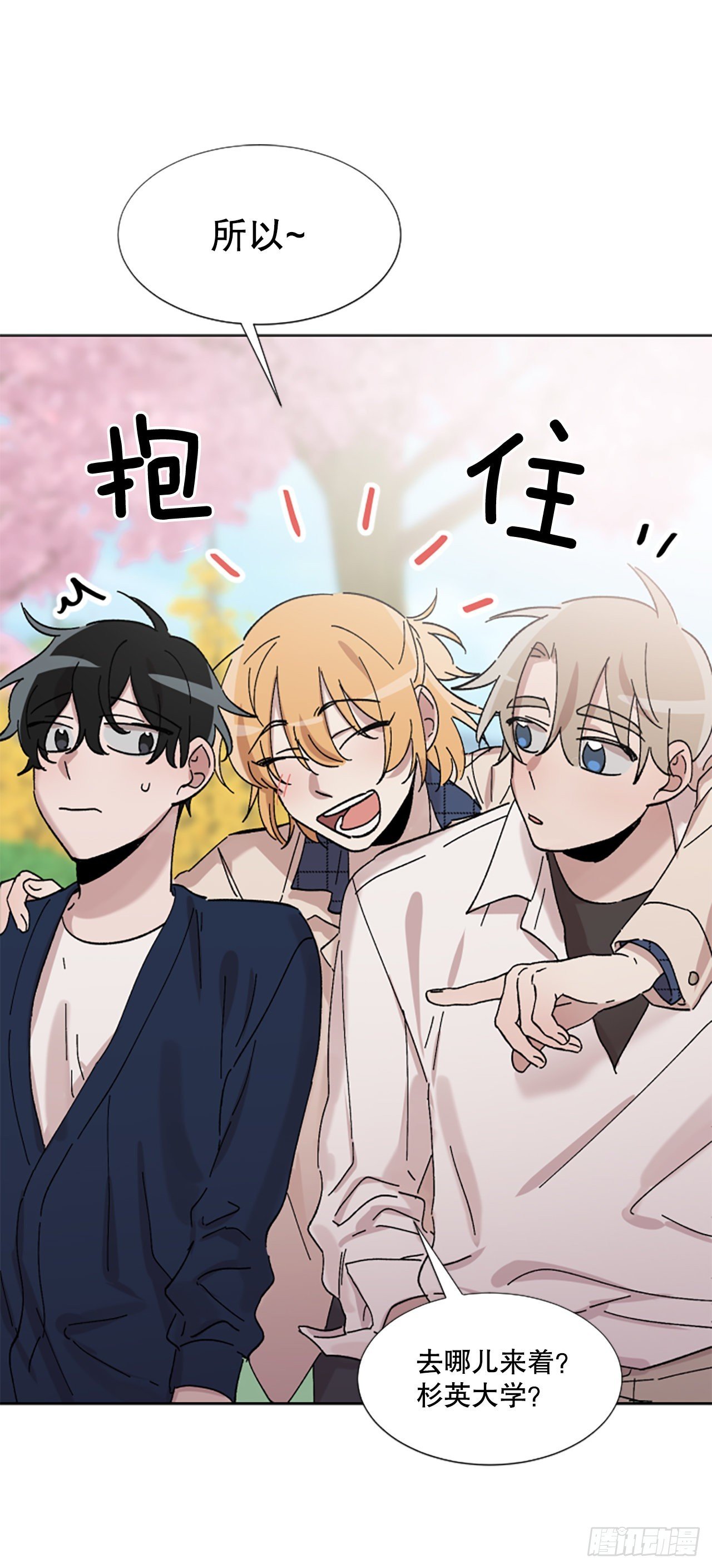 18.樱花祭