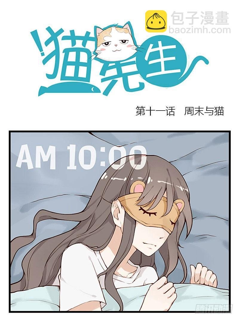 第十一话 周末与猫