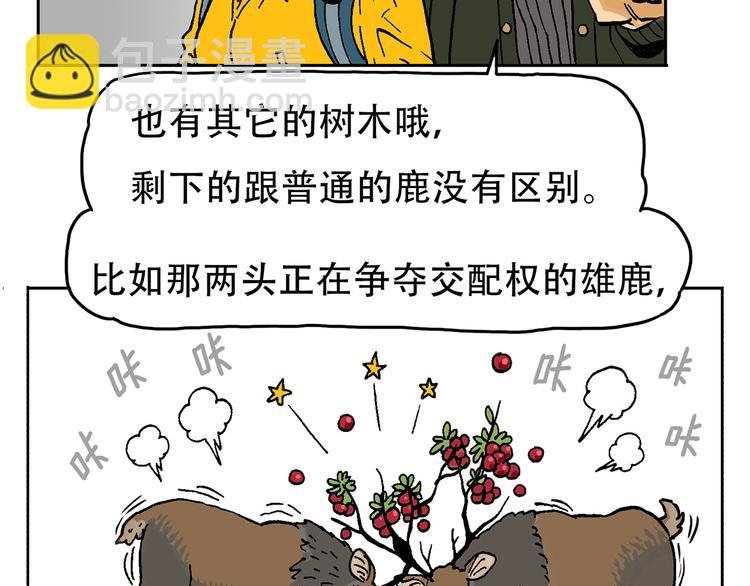奇妙森林