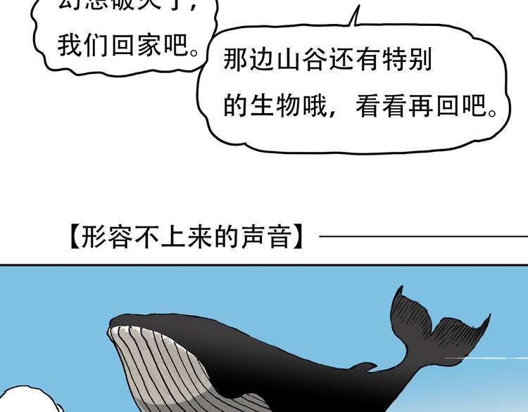 奇妙森林