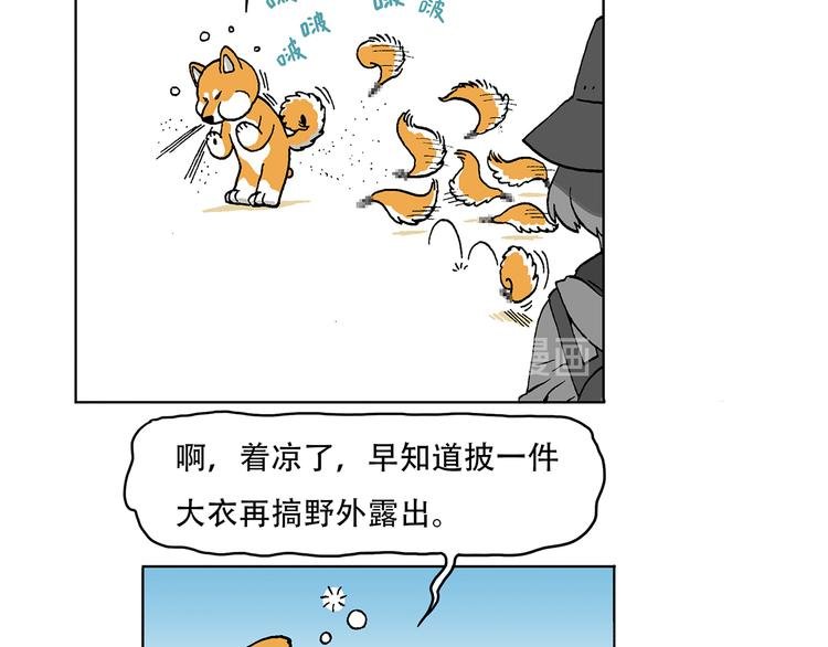 奇妙森林