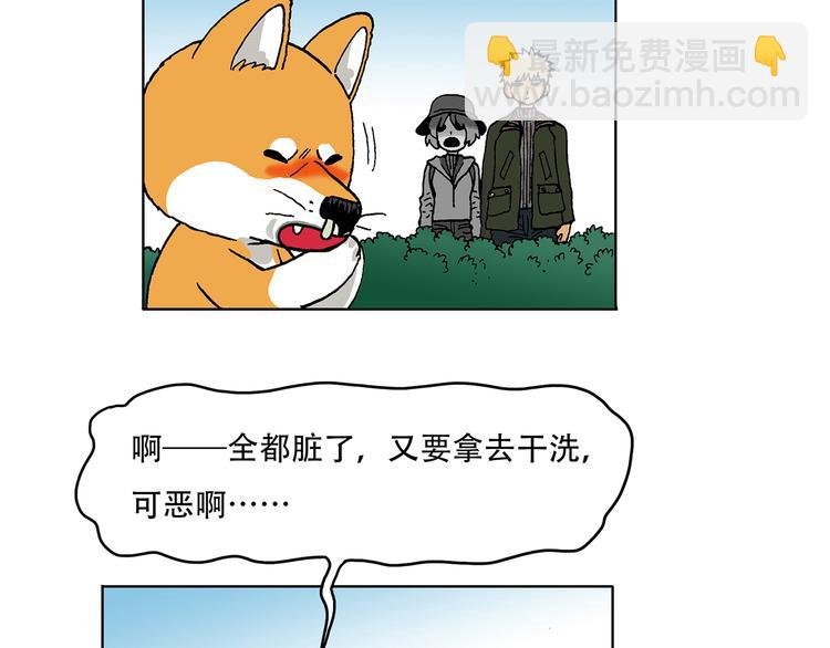奇妙森林