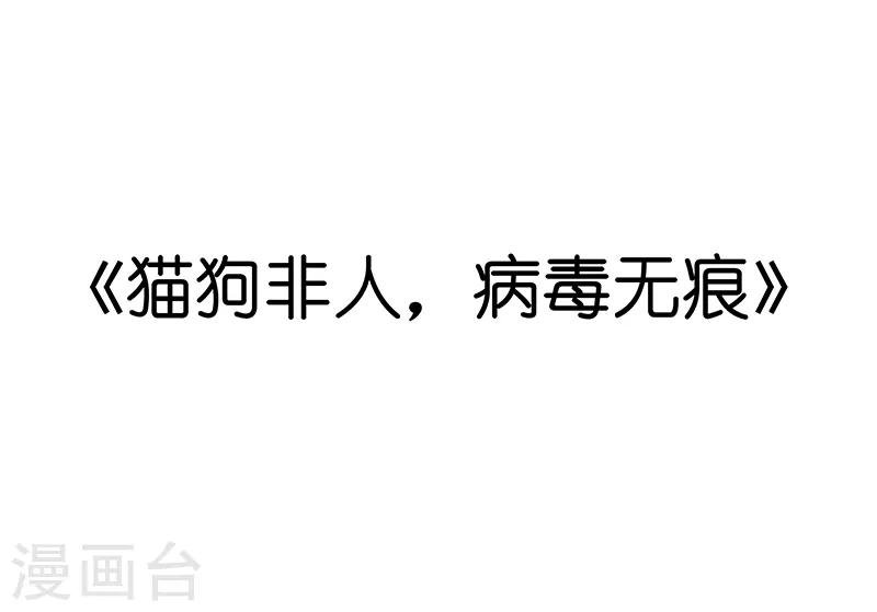 番外之抗击疫情
