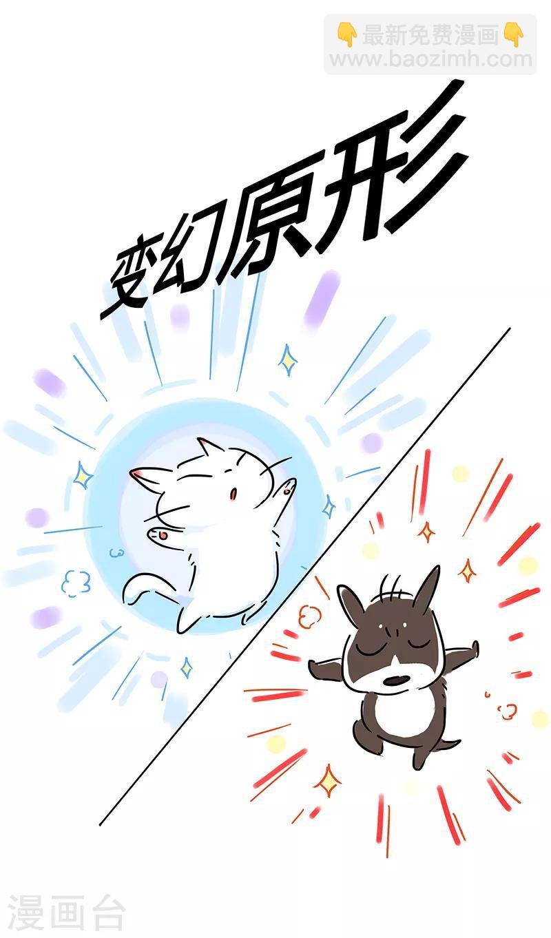 番外之抗击疫情
