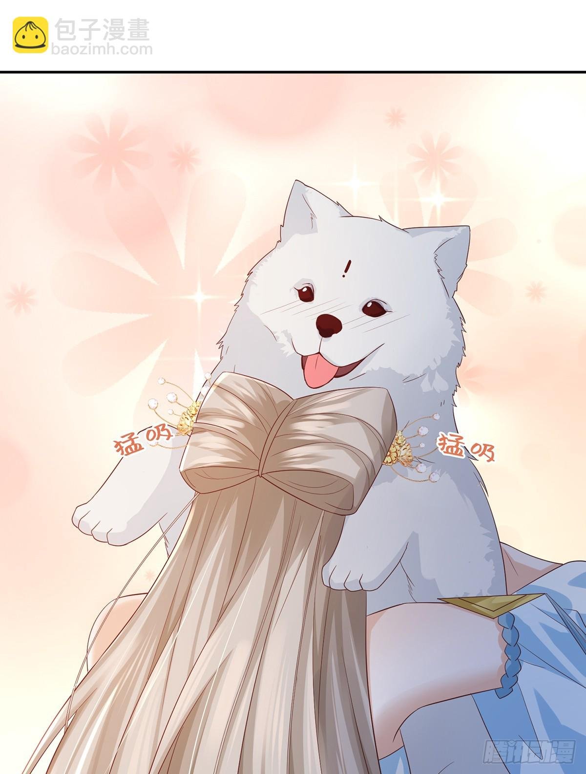 大狗狗谁不爱