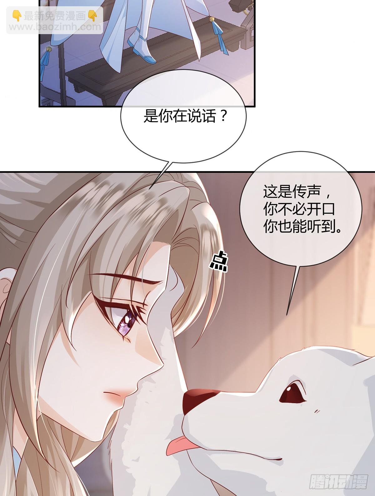 大狗狗谁不爱
