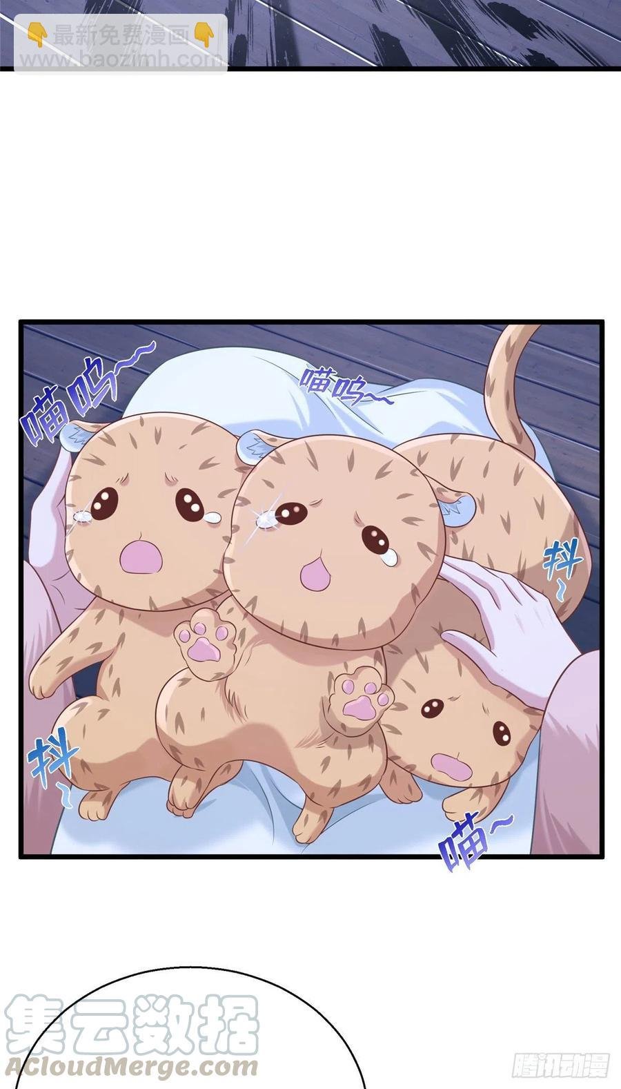 275