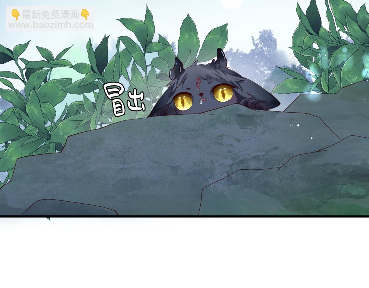 第19话 崽崽出逃！