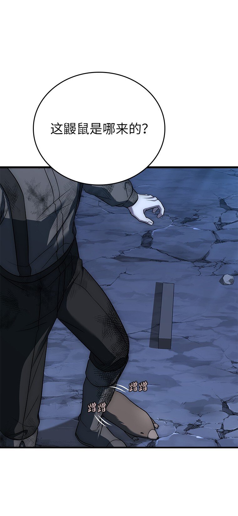 017 鼹鼠