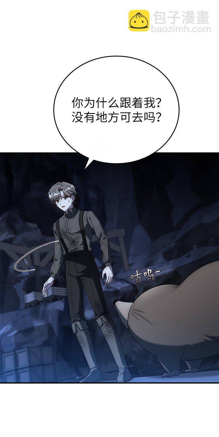 017 鼹鼠