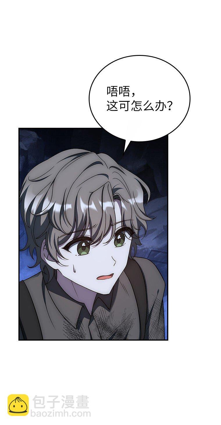 017 鼹鼠