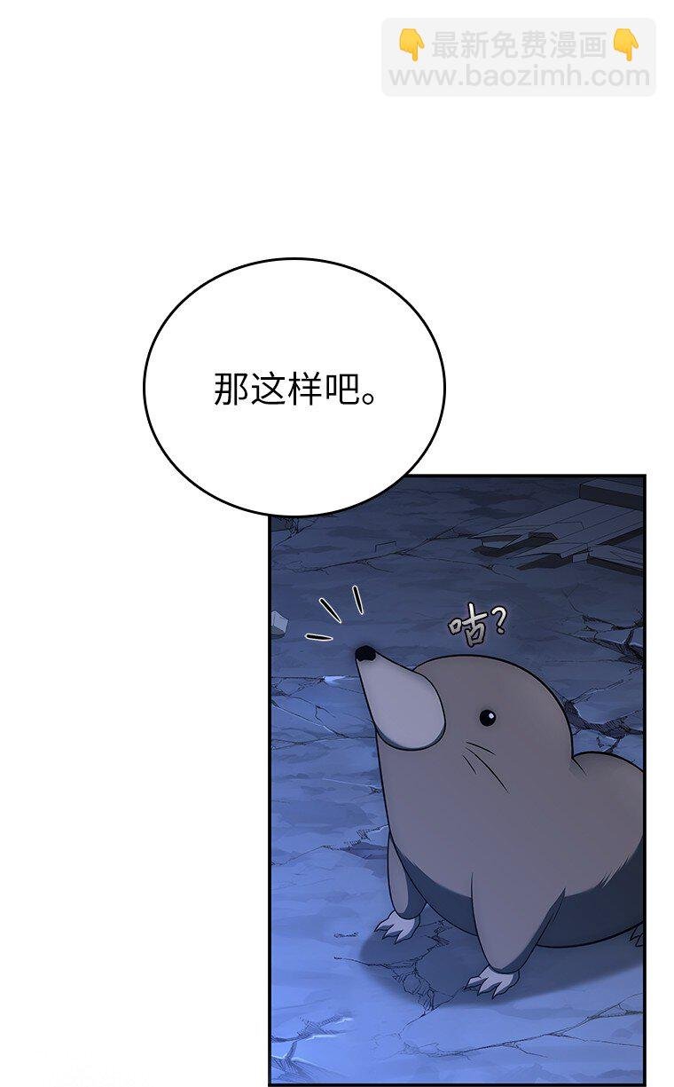 017 鼹鼠