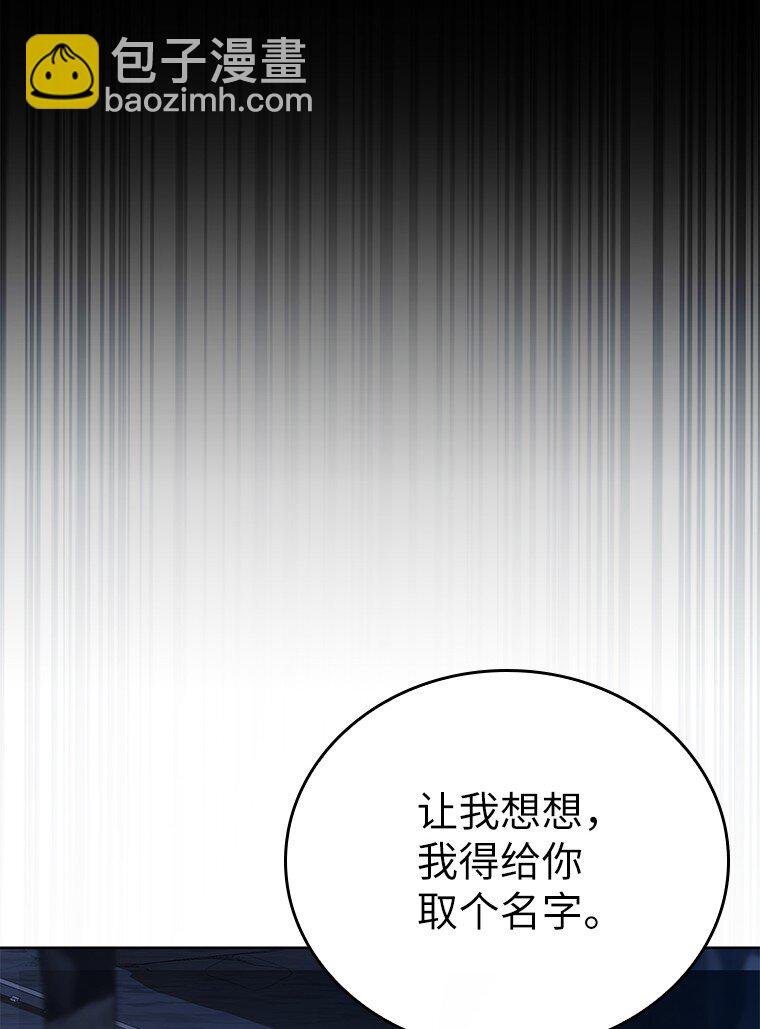 017 鼹鼠