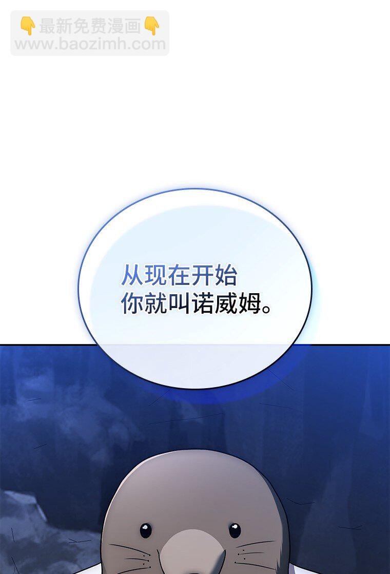 017 鼹鼠