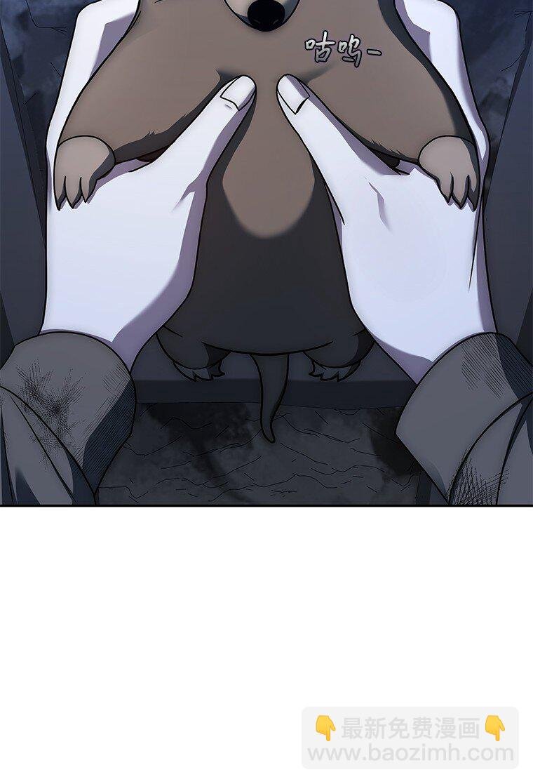 017 鼹鼠