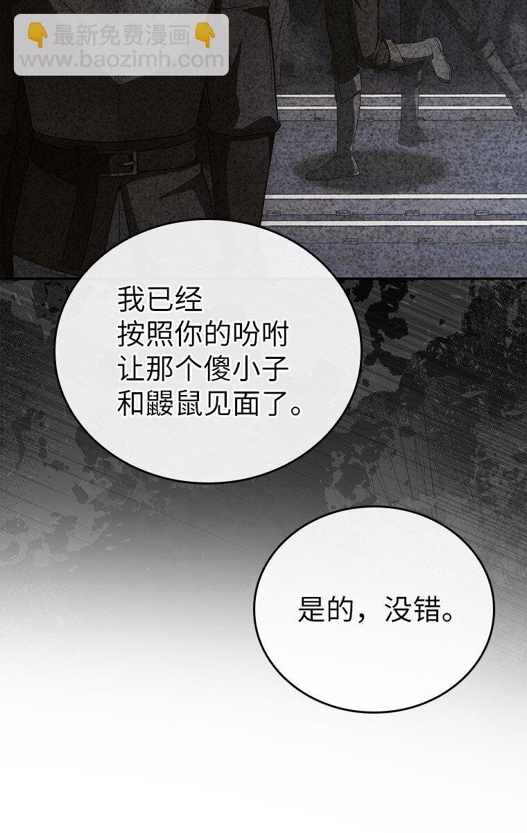 017 鼹鼠
