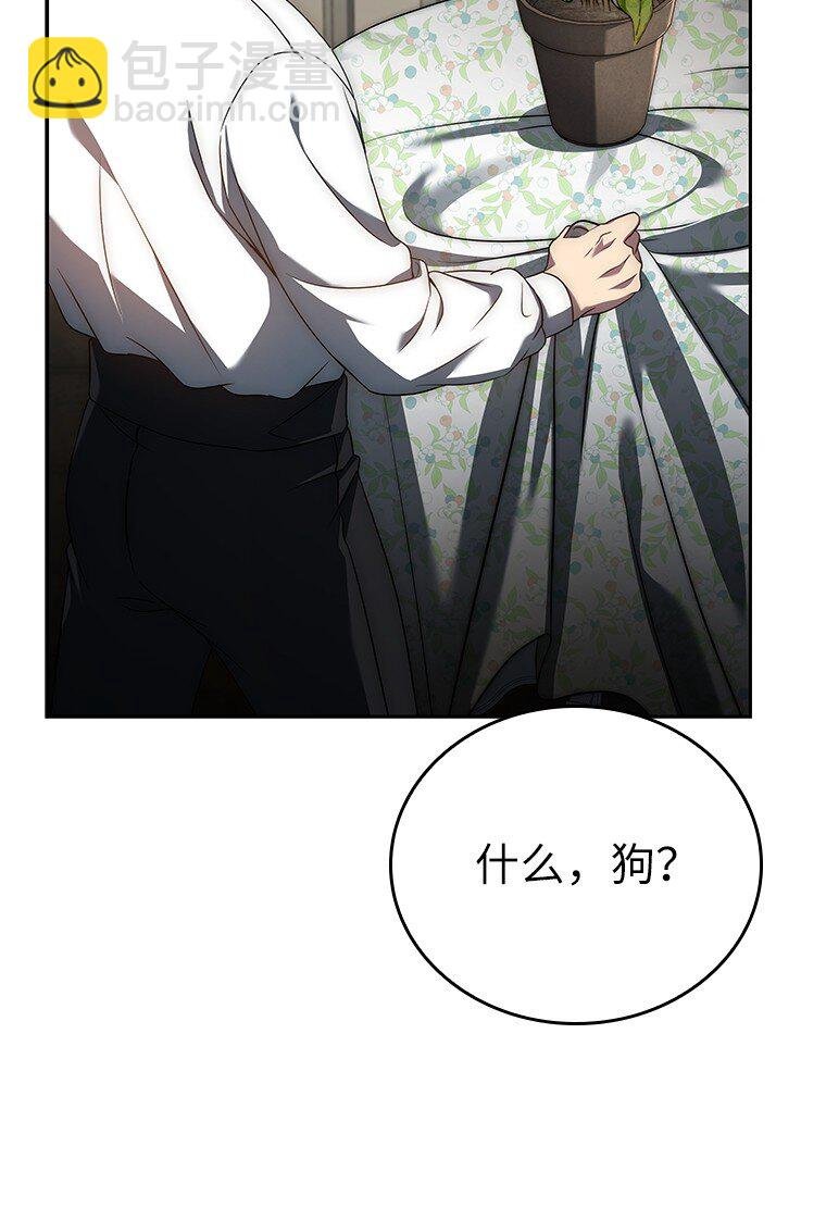 002 斯蒂沃尔家族
