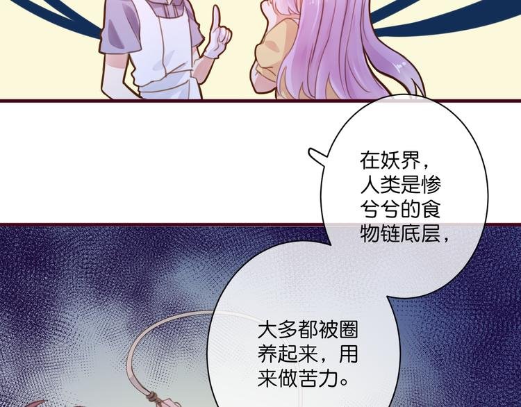 第3话 终于碰见了人类？！