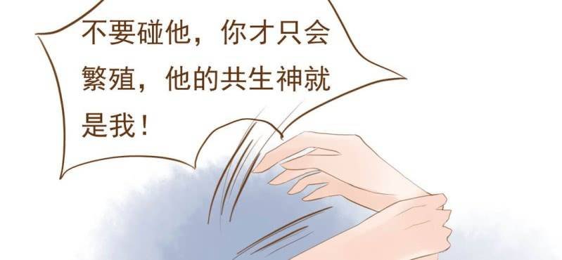 第九话 共生双子（中）