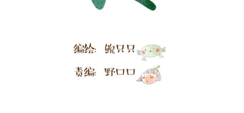 第十一话 共生双子（下）