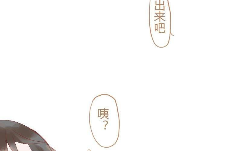 第十九话 决定