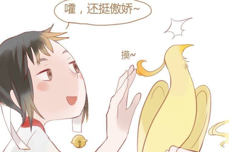 第十九话 决定