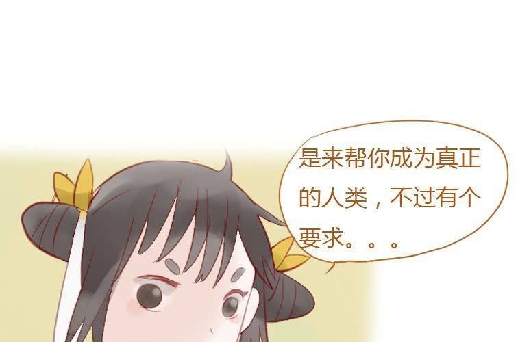 最终话 终有一天
