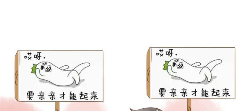 第六话 （上）兔子