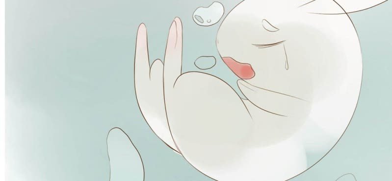 第七话 （下）兔子