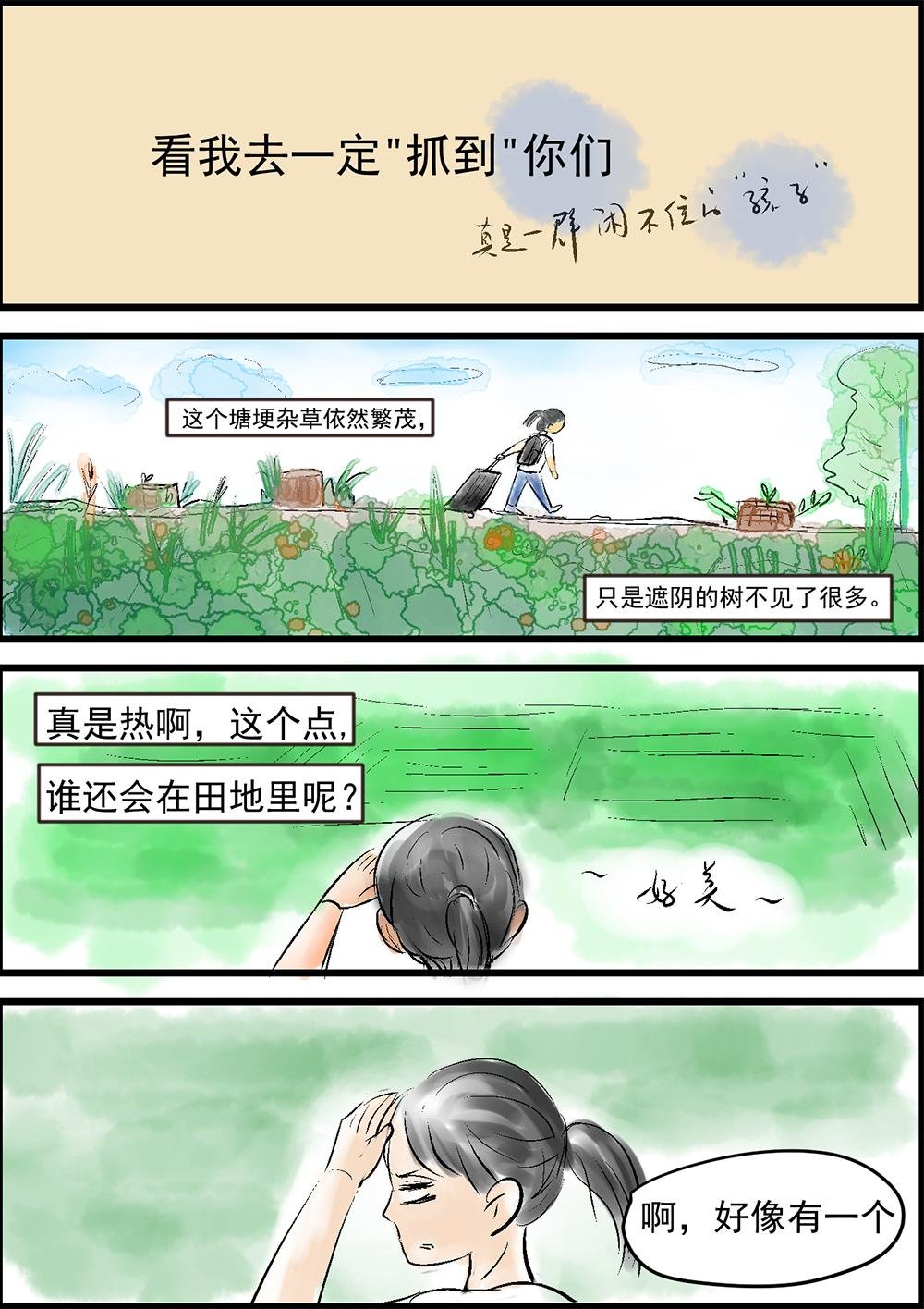 知了知了
