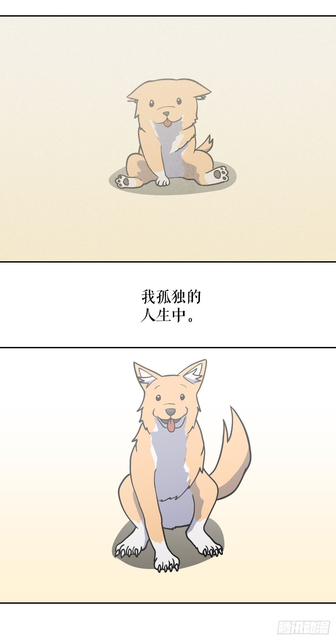 9.我的家人