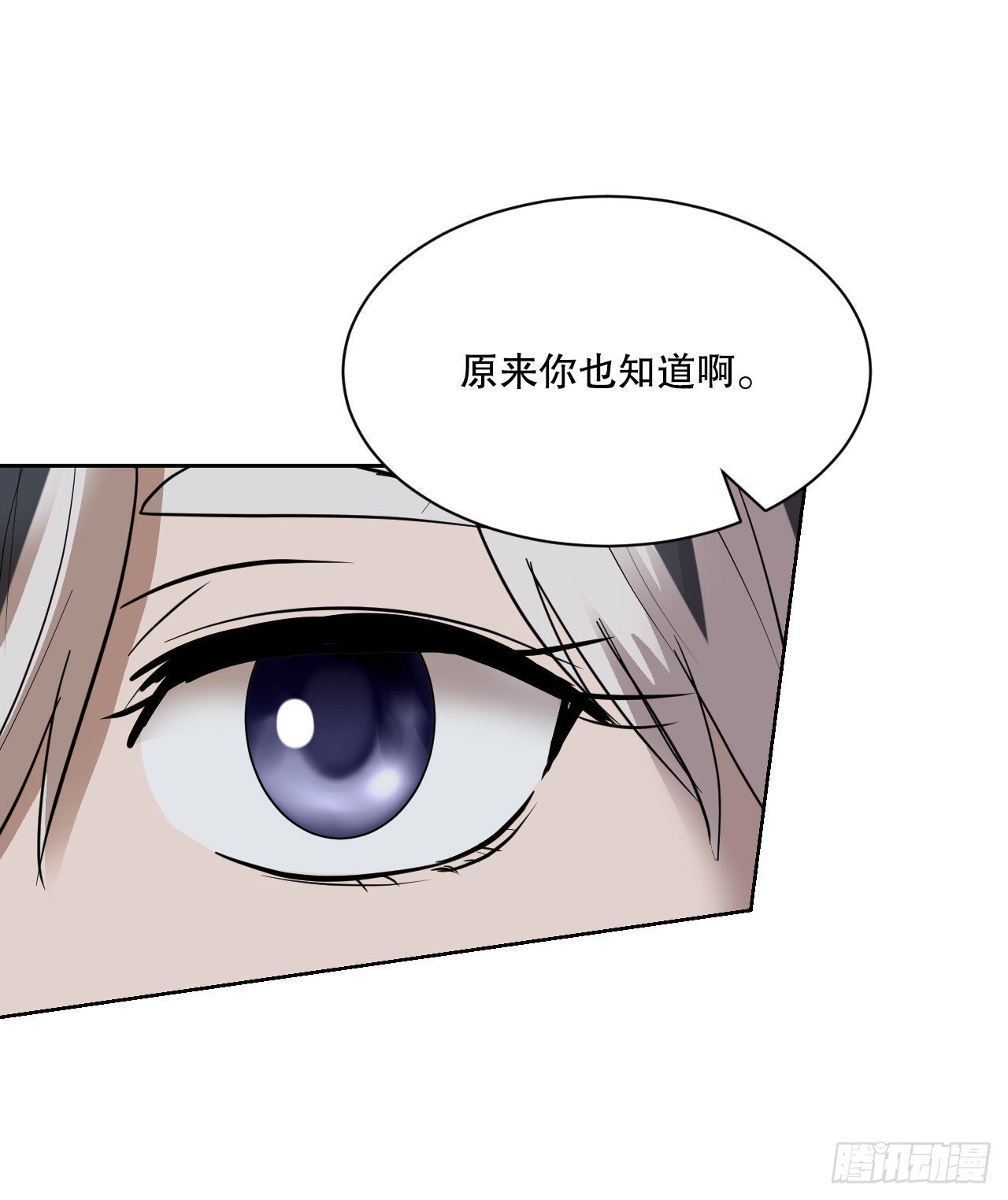 37.会议