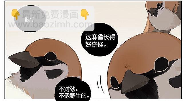 可爱。