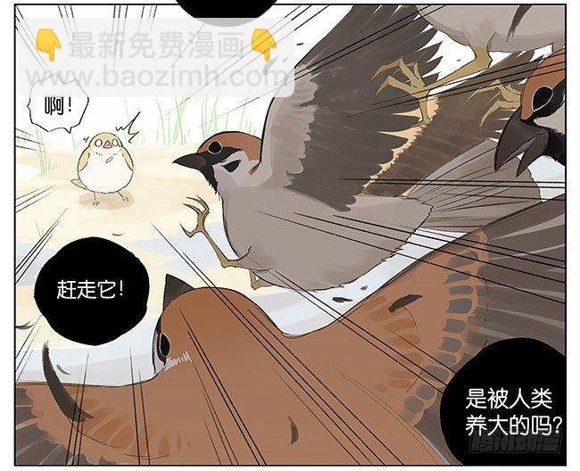 可爱。