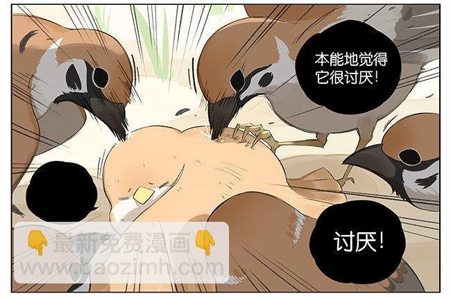 可爱。