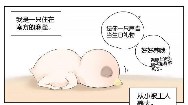 麻雀。