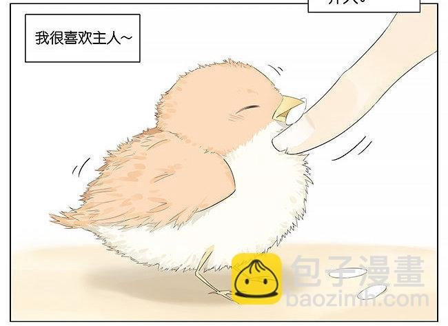 麻雀。