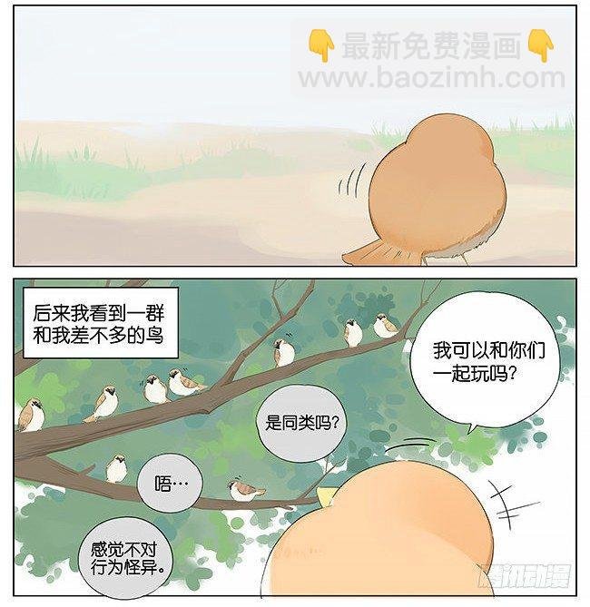麻雀。