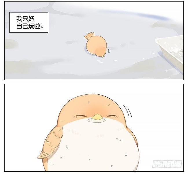 麻雀。