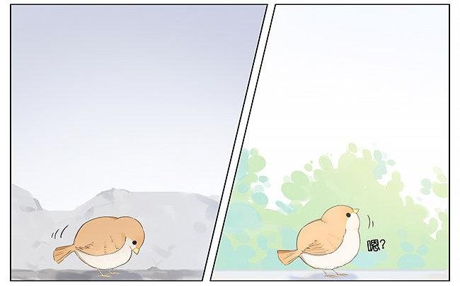 麻雀。
