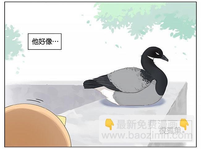 麻雀。
