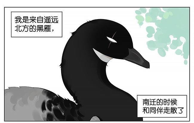 气球。