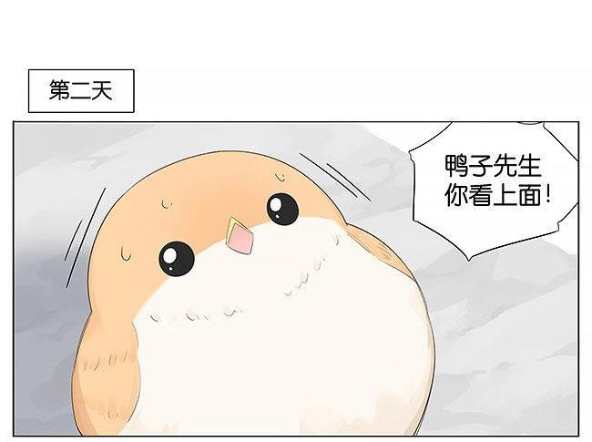 气球。
