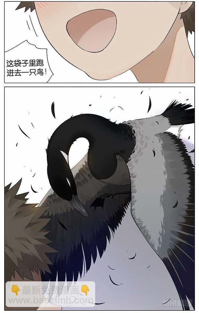 袋子。