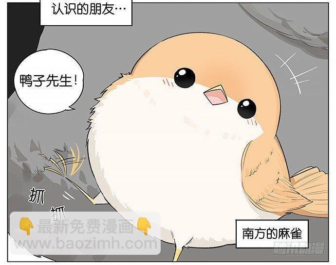 人类好可爱。