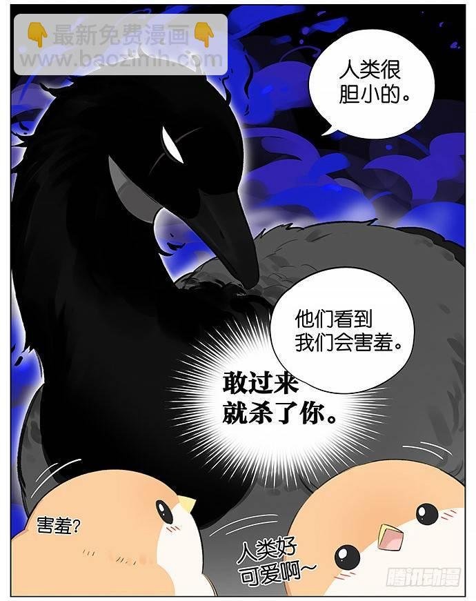 人类好可爱。
