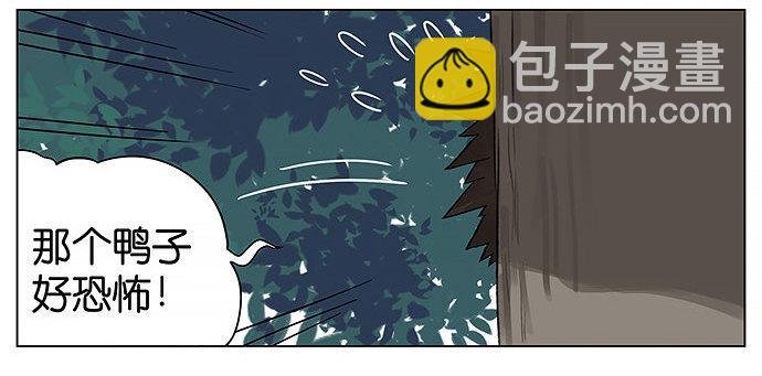 人类好可爱。